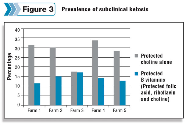 subclinical ketosis prevalence