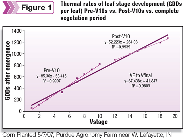 Thermal rates of leaf stage development