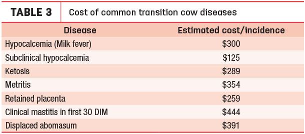 cost of transition cow diseases
