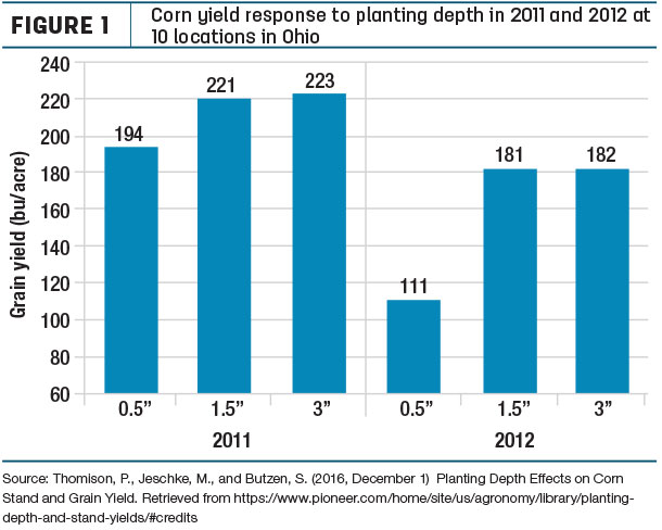  corn yield response to planting depth