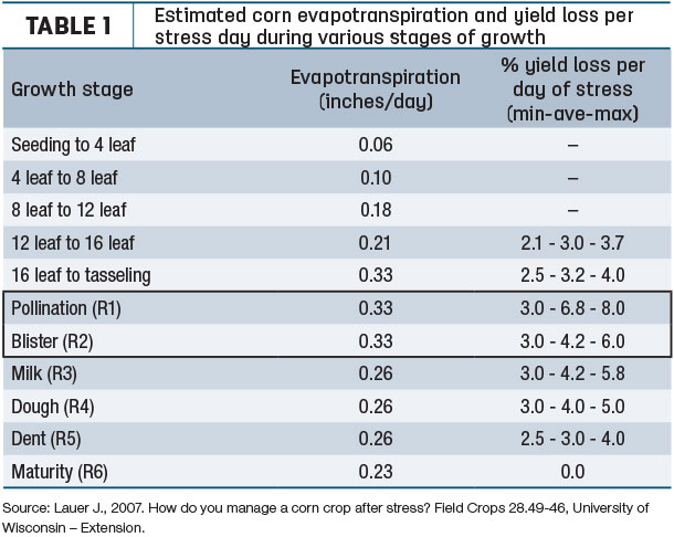 corn evapotranspiration and yield loss
