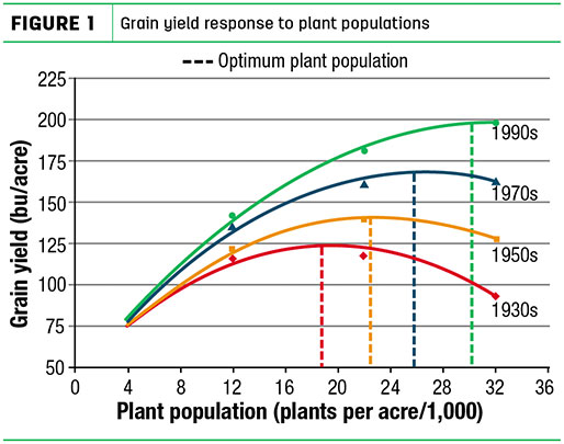 Grain yield response to plant populations