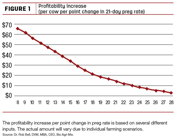 Profitibility increase