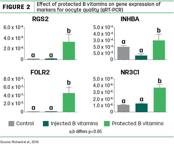Effect of profected B vitamins on gene expression of markers 