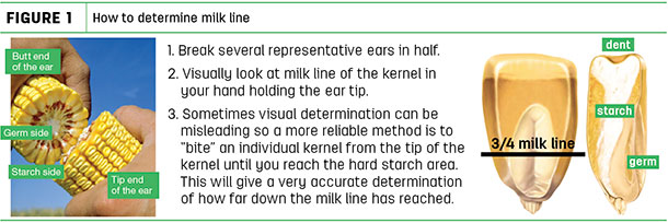 How to determine milkline