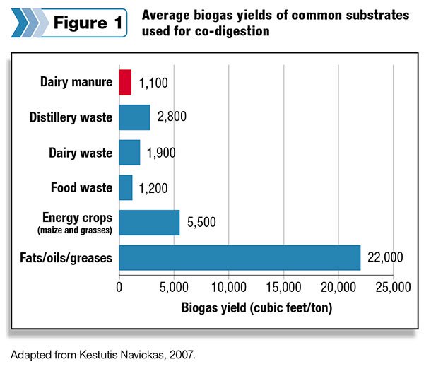substrate biogas yields