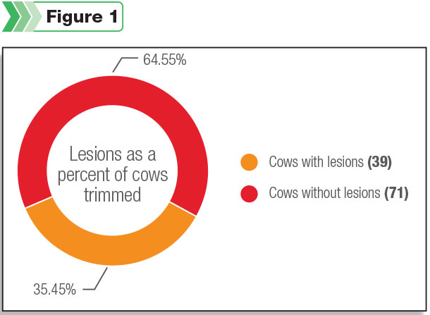 Lesions as a percent of cows trimmed
