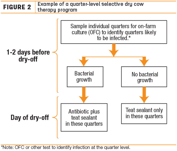 Example of a quarter-level selectiove dry cow therapy program