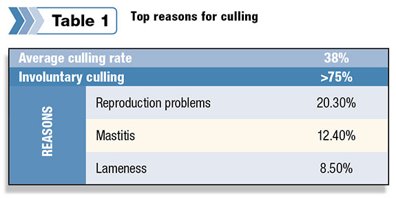Top reasons for culling table