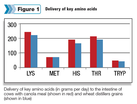 Delivery of key amino acids graph