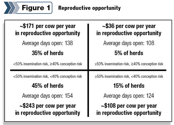 Cow reproductive opportunity