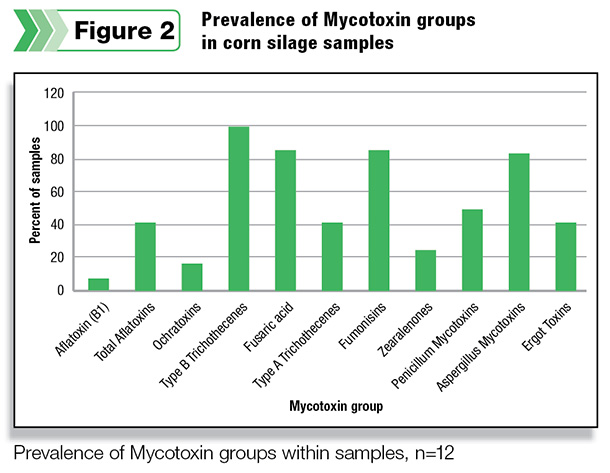 Prevalence of Mycotoxin groups in corn sialge