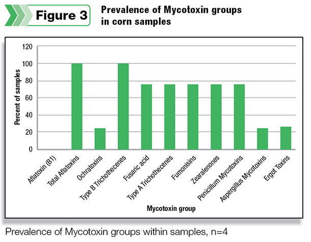 Prevalence of Mycotoxin groups in corn samples