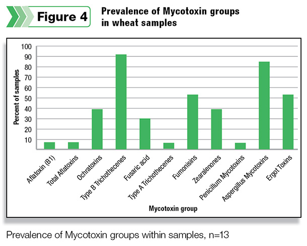 Prevalence of Mycotoxin groups in wheat samples