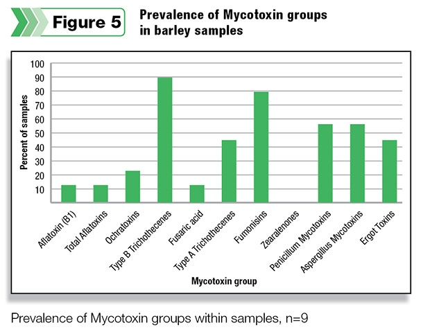 Prevalence of Mycotoxin groups in barley samples