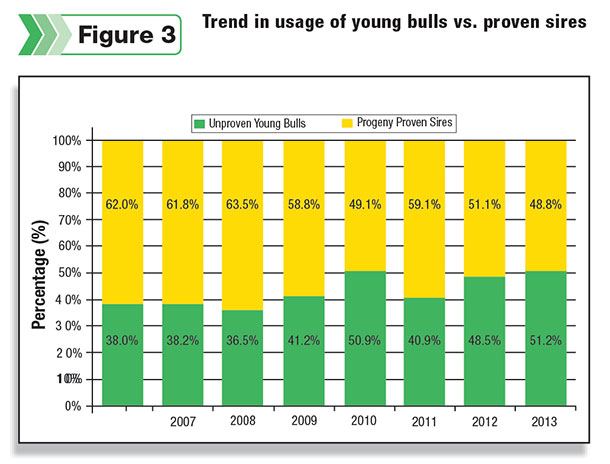Trend in usage of young bulls vs. proven aires