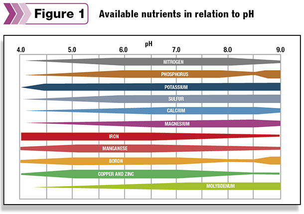 Available nutrients in relation to PH