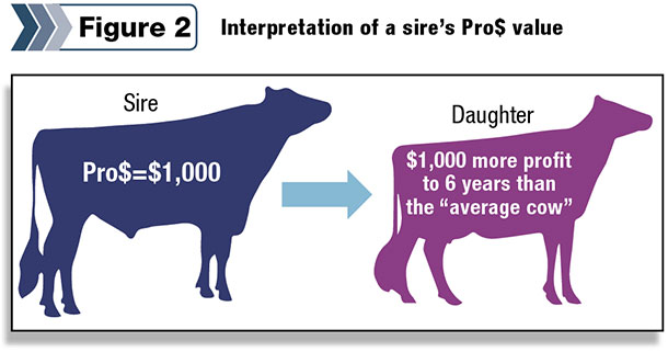 Sire's Pro$ value