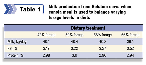 Milk production from Holstein cows when canola meal is used 