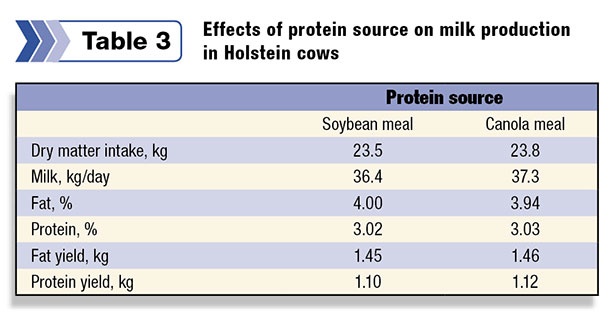 Effects of protein source on milk production in Holstein cows