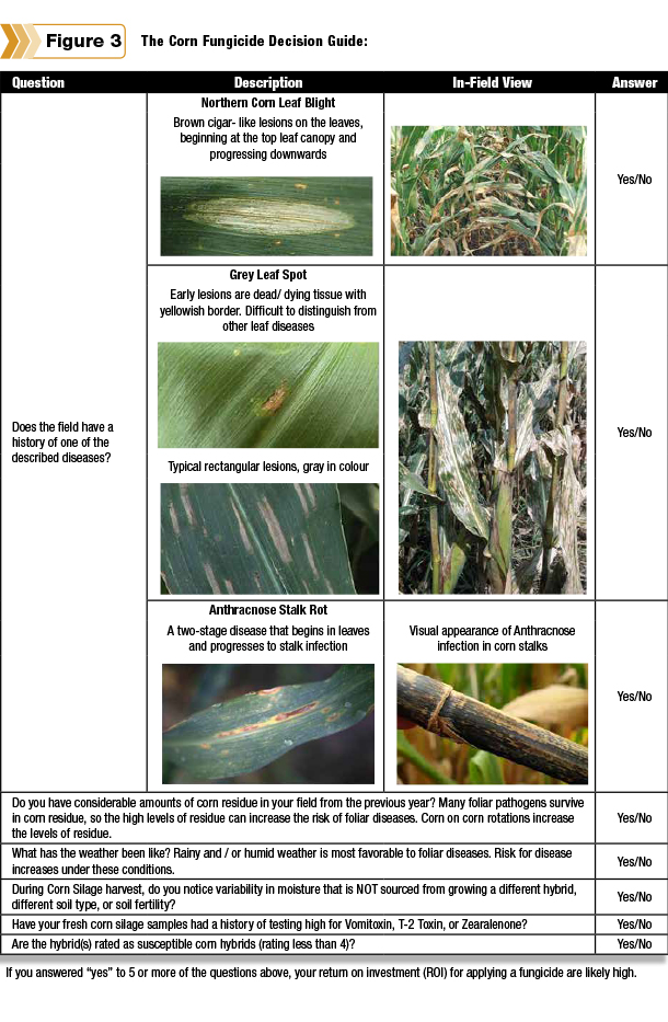corn fungicide decision guide