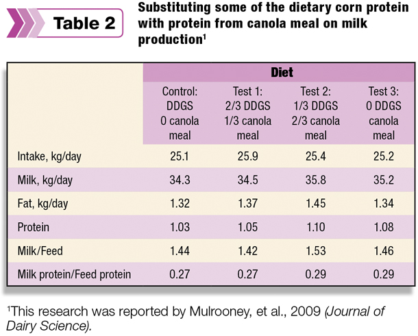 Substituting some of the dietary corn protein with protein from canola meal on milk production'