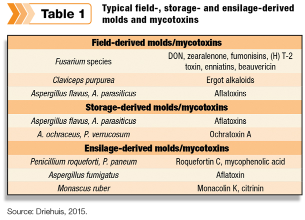 Typical field-, storage- and ensilage-derived molds and mycotoxins