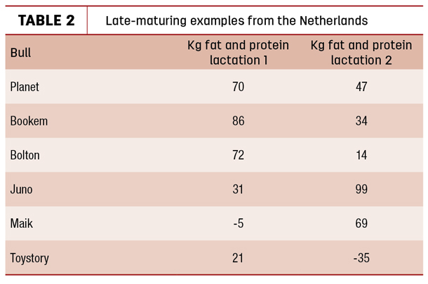 Late-maturing examples from the Netherlands