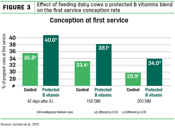 Effect of feeding dairy cows a profected B vitamins