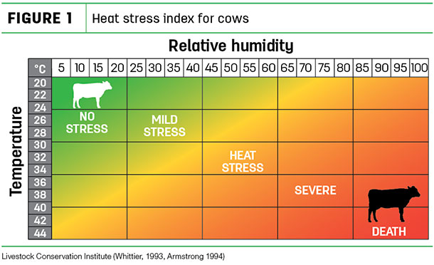 Heat stress index for cows