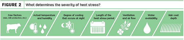 What determines the severity of heat stress?