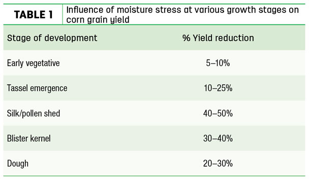 Influence of moisture stress at various growth sages on corn grain yield