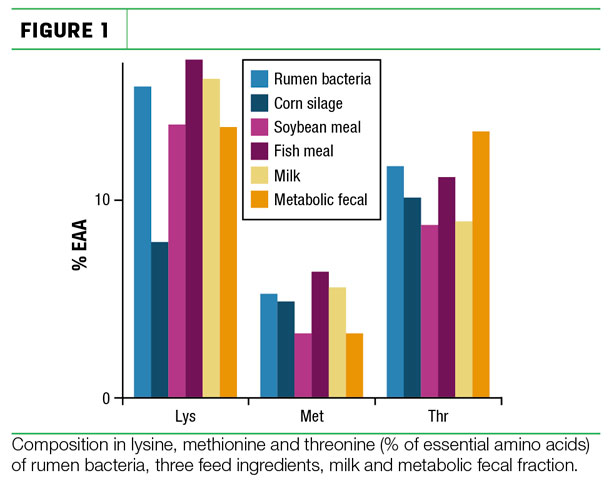 Composition in lysine, methionine and threonine (% of essential amino acids) of rumen bacteria, three feed ingredients, milk and metabolic fecal fraction