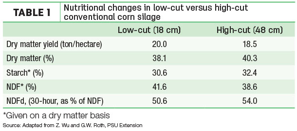 Nutritional changes in low-cut versus high-cut conventional corn silage