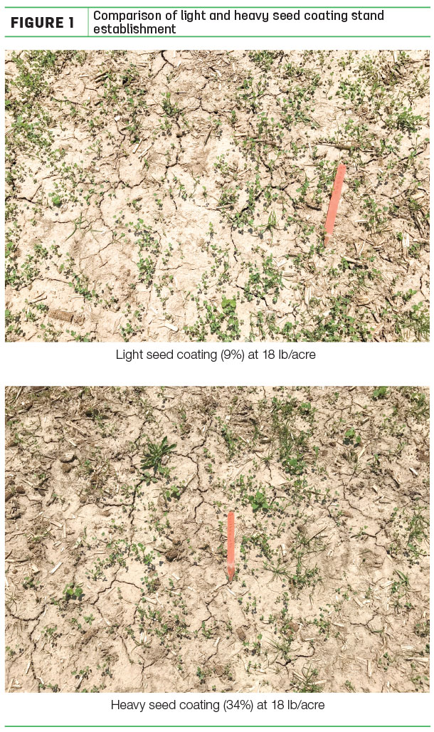 Comparison of light and heavy seed coating stand establishment