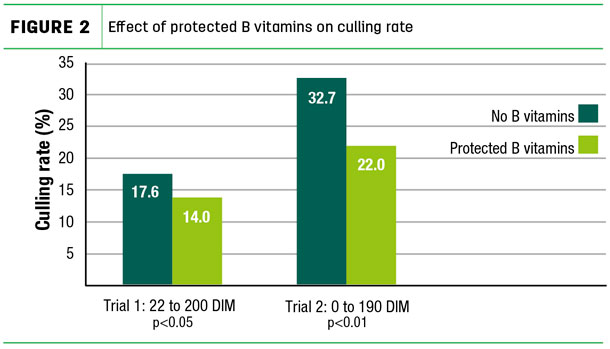Effect of protected B vitamins on culling rate