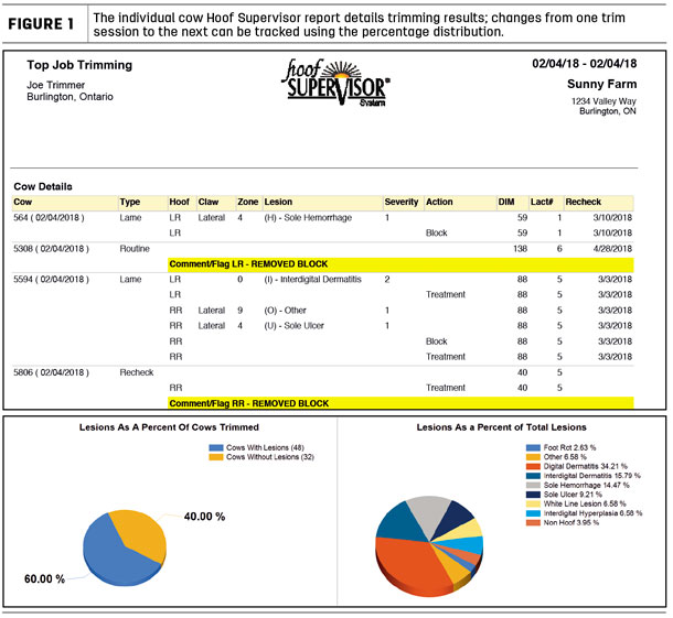 The individual cow Hoof Supervisor report details trimming results; changes from one trim session to the next can be tracked using the percentage distribution.