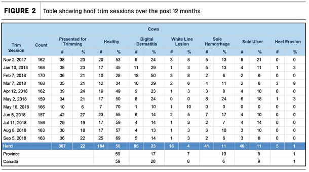 Table showing hoof trim sessions over the past 12 months
