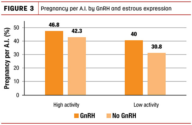 Pregnancy per A.I. by GnRH and estrous expression