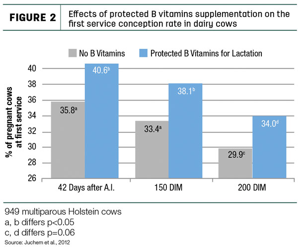 Effects of protected B vitamins supplementation on the first service conception rate in dairy cows.