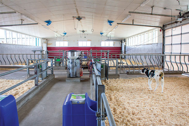 Group calf housing, a nursery barn