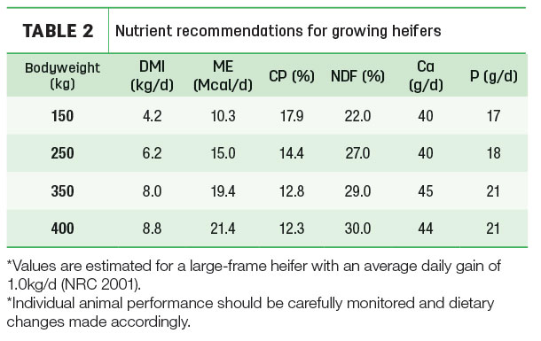 Nutrient recommendations for growing heifers