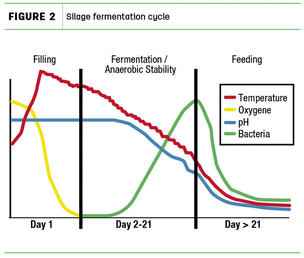 Silage fermentation cycle