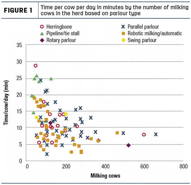 Time per cow per day in minutes by the number milking cows in the herd based on parlour type