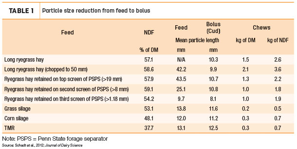 Particle size reduction from feed and bolus