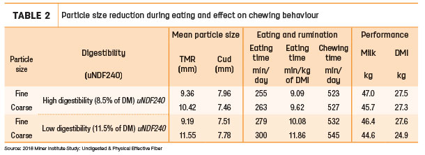 Particle size reduction during eating and effect on chewing behaviour