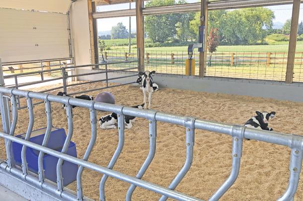 A ventilation system for the calf housing