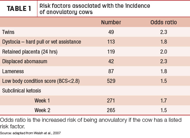 Risk factors associated with the incidence of anovulatory cows