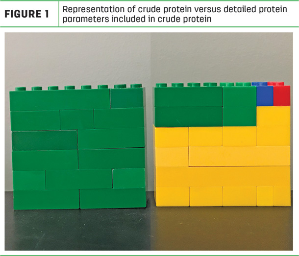 Representation of crude protein versus detailed protein