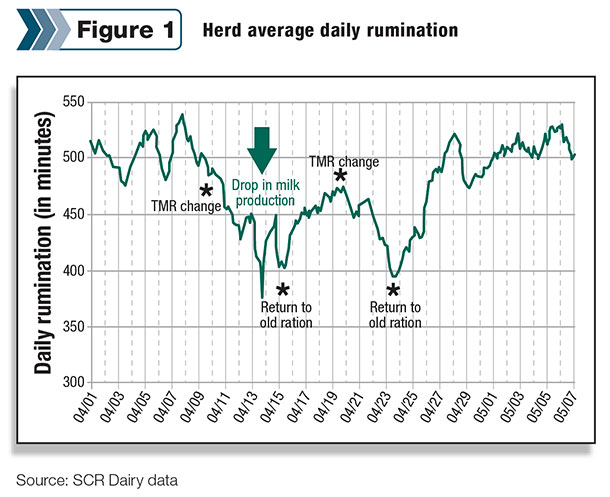 herd average daily rumination